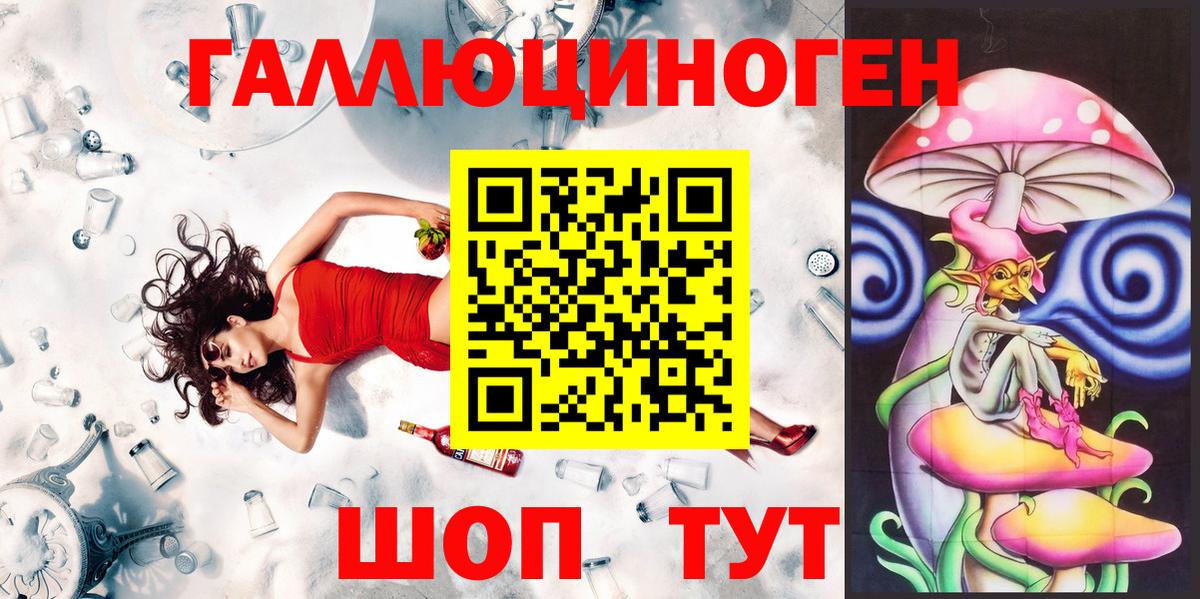 Кизляр  где можно купить   Вход с VPN  Псилоцибиновые грибы Psilocybine cubensis 